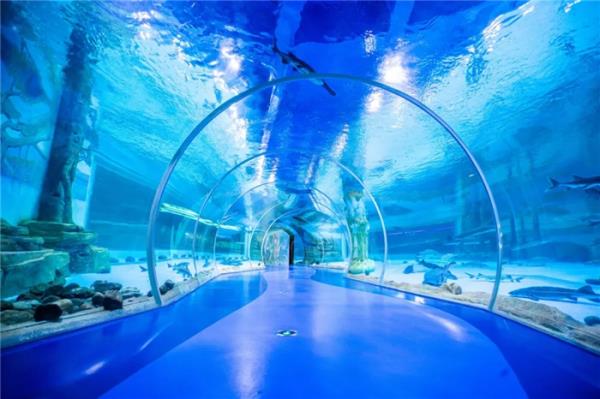 西双版纳傣族自治州-湄公河水底世界 西双版纳傣族自治州-湄公河水底世界