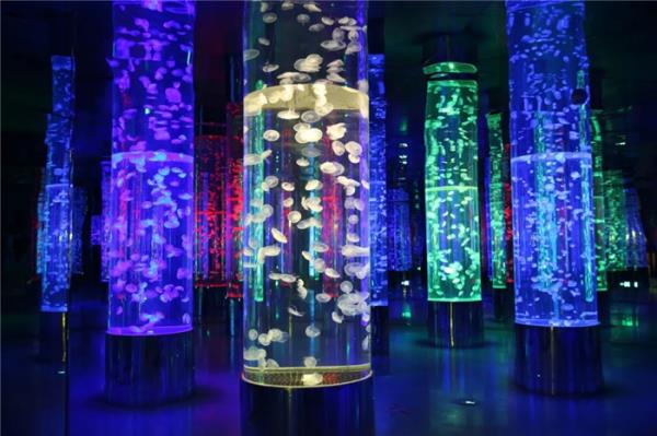 西双版纳傣族自治州-湄公河水底世界 西双版纳傣族自治州-湄公河水底世界