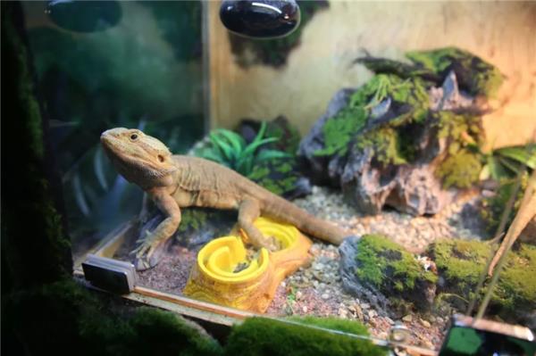 西双版纳傣族自治州-湄公河水底世界 西双版纳傣族自治州-湄公河水底世界