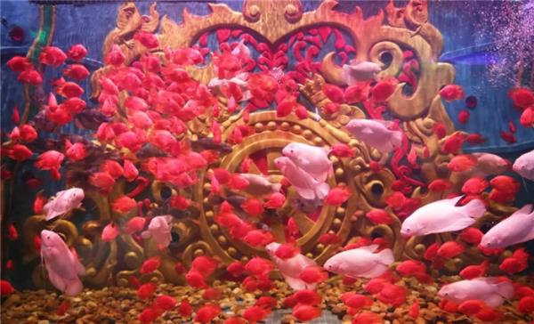 西双版纳傣族自治州-湄公河水底世界 西双版纳傣族自治州-湄公河水底世界