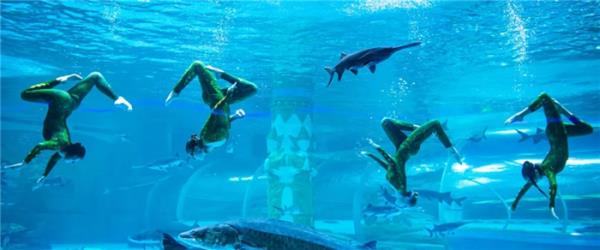 西双版纳傣族自治州-湄公河水底世界 西双版纳傣族自治州-湄公河水底世界