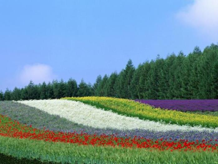 震泽古镇 震泽古镇