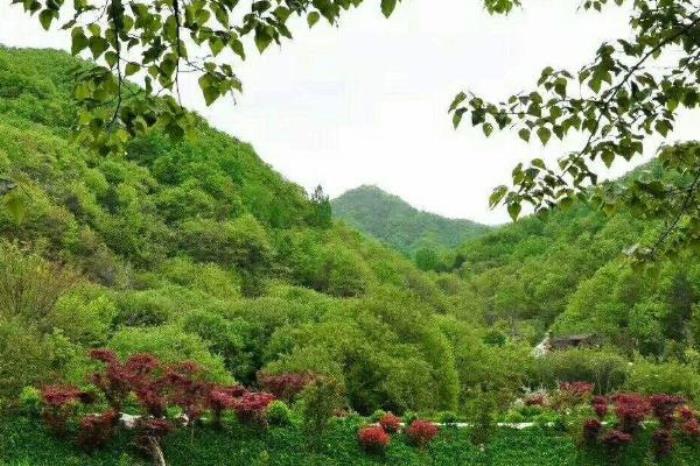 秦岭悠然山高山湿地景区