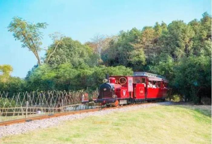 武汉松鼠部落森林假日公园