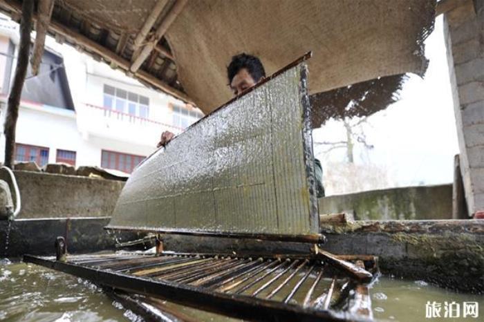 蔡伦竹海 蔡伦竹海