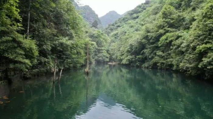 丽水-千佛山景区 丽水-千佛山景区