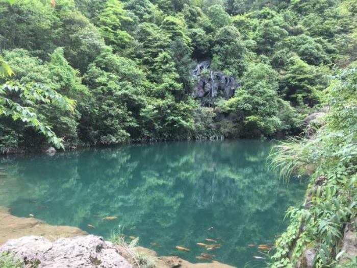 丽水-千佛山景区 丽水-千佛山景区