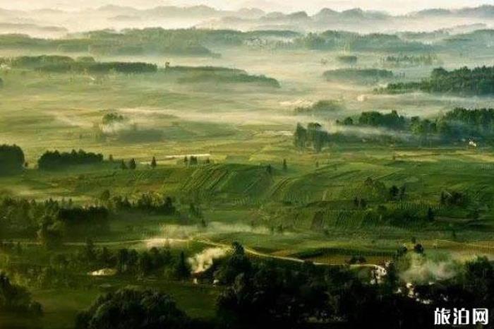 茶海之心 茶海之心