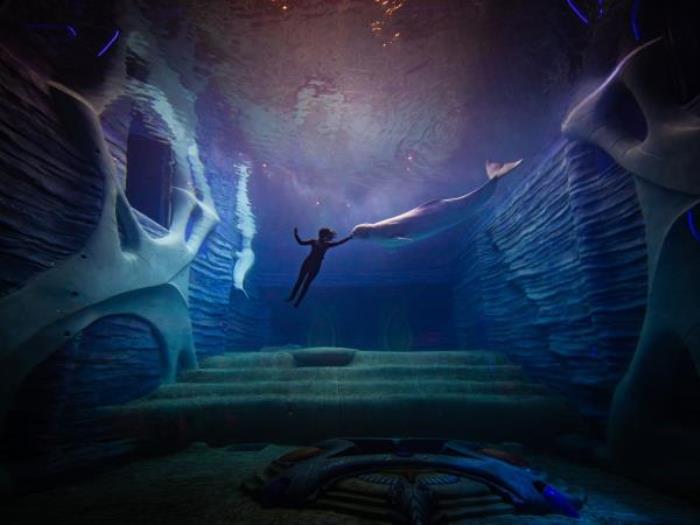 三亚亚特兰蒂斯失落的空间水族馆 三亚亚特兰蒂斯失落的空间水族馆