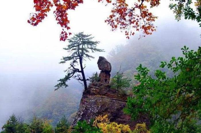 古灵台荆山森林公园 古灵台荆山森林公园