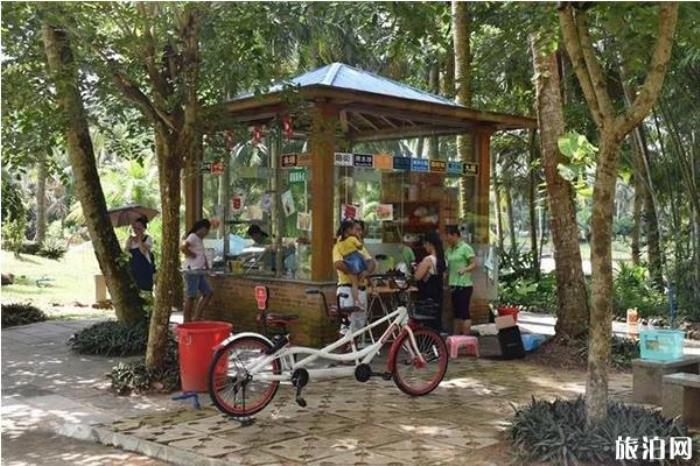 椰子大观园 椰子大观园