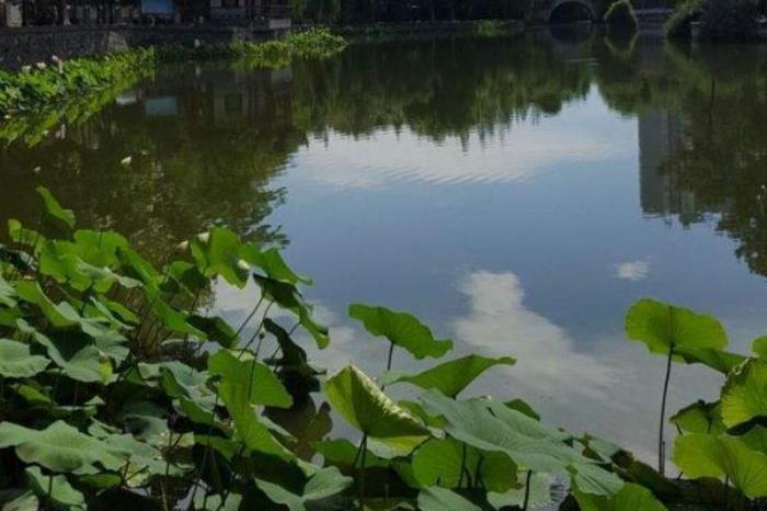 汉中莲花池公园 汉中莲花池公园