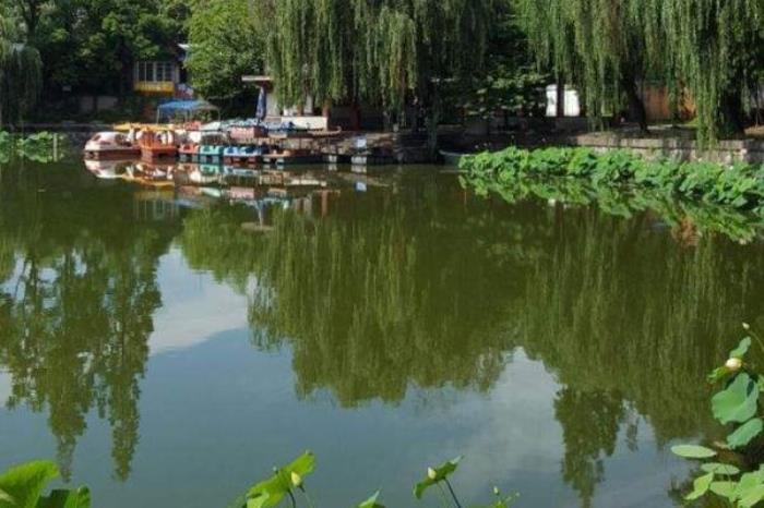 汉中莲花池公园 汉中莲花池公园