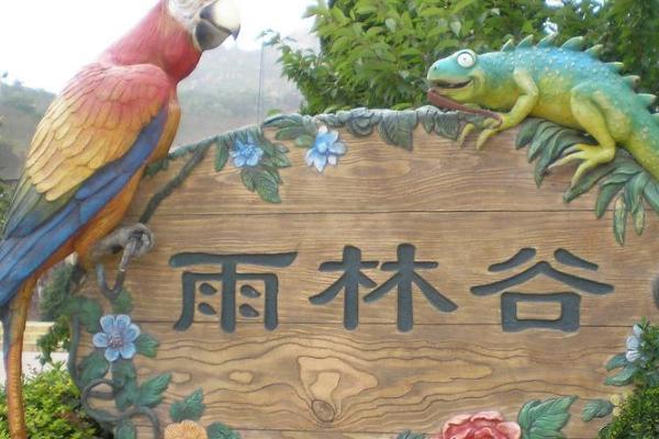 西双版纳雨林谷 西双版纳雨林谷