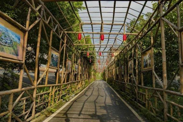 白坪飞龙景区 白坪飞龙景区