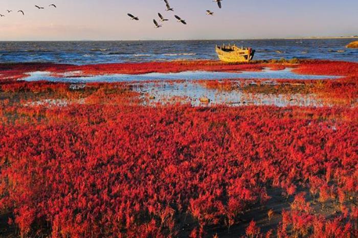 团山国家级海洋公园