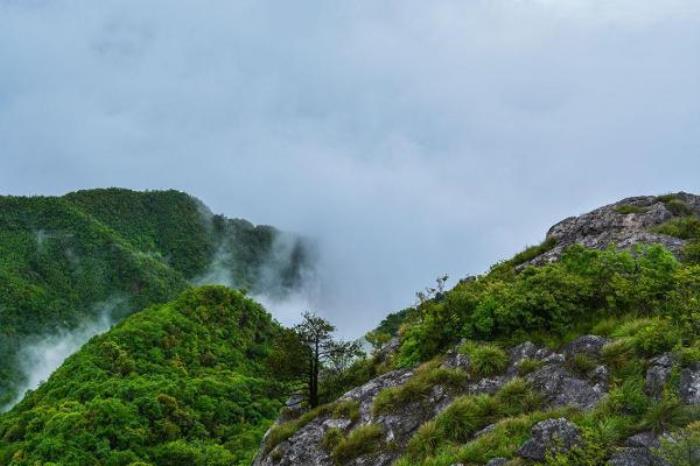 安康牛头山 安康牛头山
