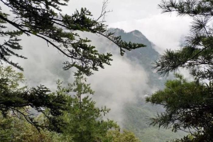 五龙洞国家森林公园