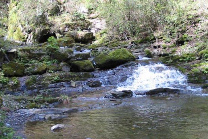 五龙洞国家森林公园