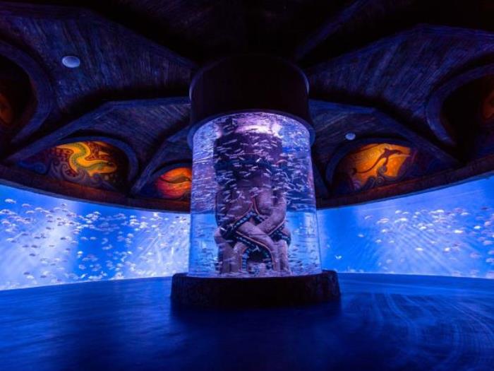 哈尔滨-波塞冬海底世界 哈尔滨-波塞冬海底世界