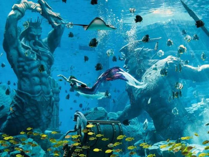 哈尔滨-波塞冬海底世界 哈尔滨-波塞冬海底世界