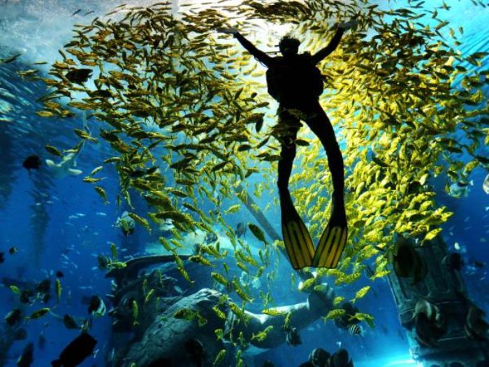 哈尔滨-波塞冬海底世界 哈尔滨-波塞冬海底世界