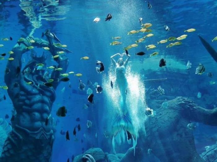 哈尔滨-波塞冬海底世界 哈尔滨-波塞冬海底世界