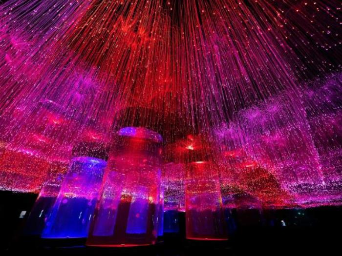 哈尔滨-波塞冬海底世界 哈尔滨-波塞冬海底世界