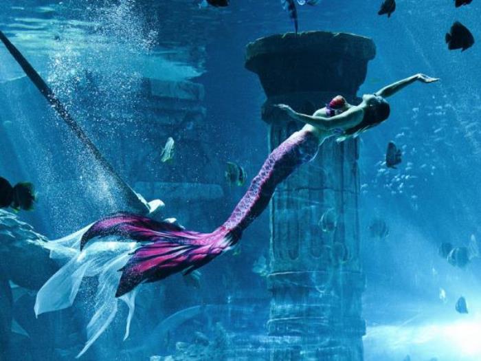 哈尔滨-波塞冬海底世界 哈尔滨-波塞冬海底世界