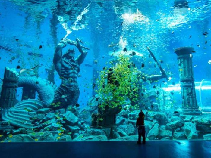 哈尔滨-波塞冬海底世界 哈尔滨-波塞冬海底世界
