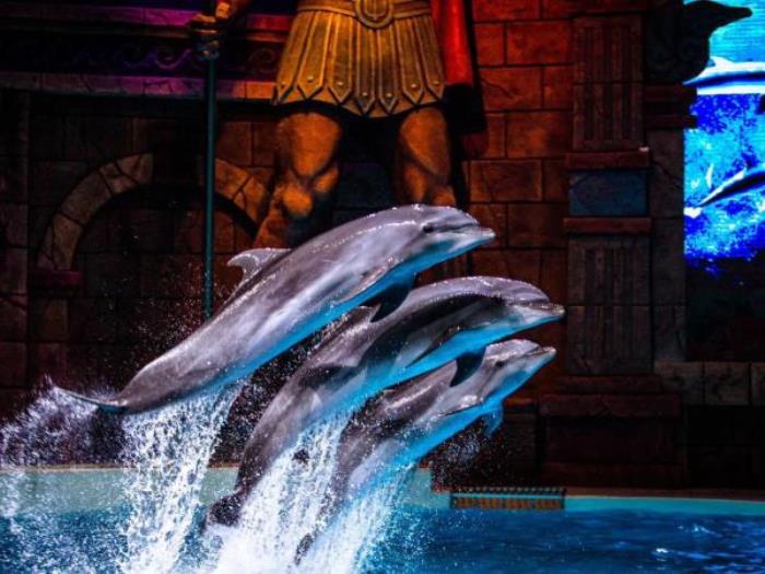 哈尔滨-波塞冬海底世界 哈尔滨-波塞冬海底世界