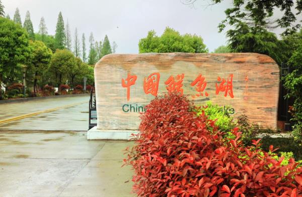 中国扬子鳄景区 中国扬子鳄景区