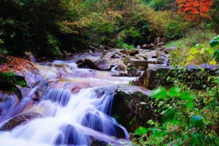 佛坪国家级自然保护区 佛坪国家级自然保护区