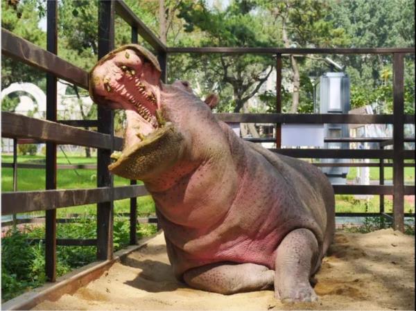 鞍山动物园 鞍山动物园