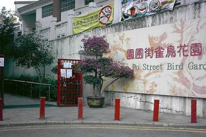 园圃街雀鸟花园