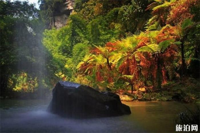 犍为嘉阳桫椤湖景区 犍为嘉阳桫椤湖景区