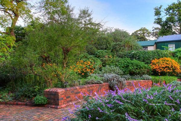 永顺植物园 永顺植物园