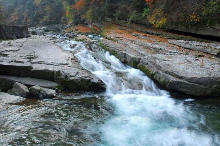 黎坪森林公园 黎坪森林公园