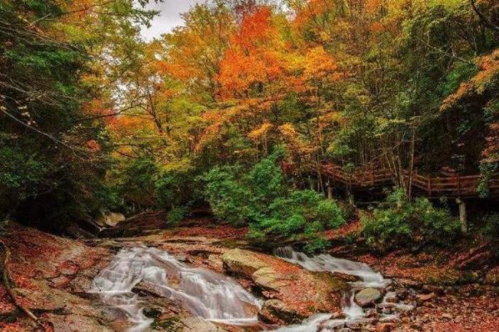 黎坪森林公园 黎坪森林公园