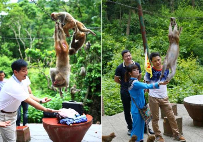 广西龙虎山风景区