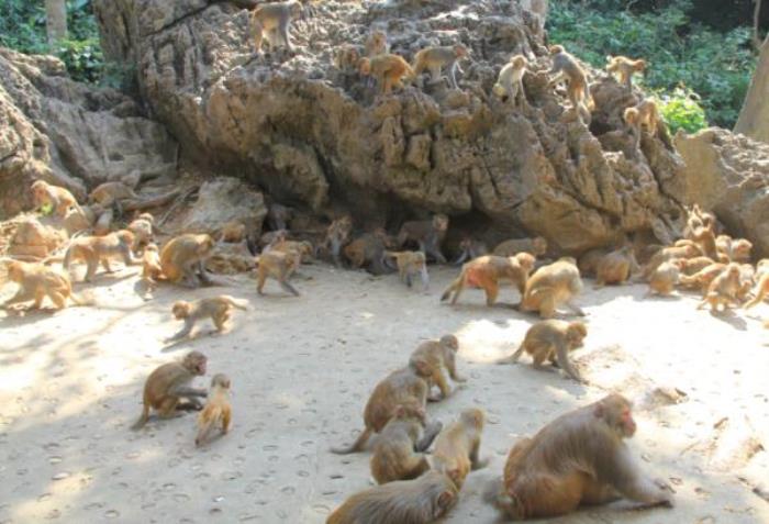 广西龙虎山风景区