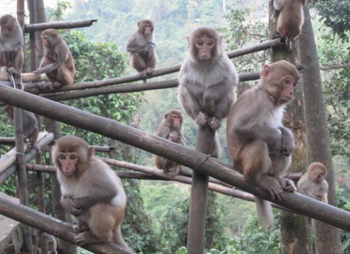 广西龙虎山风景区