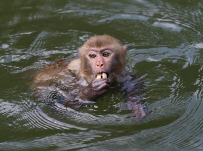 广西龙虎山风景区