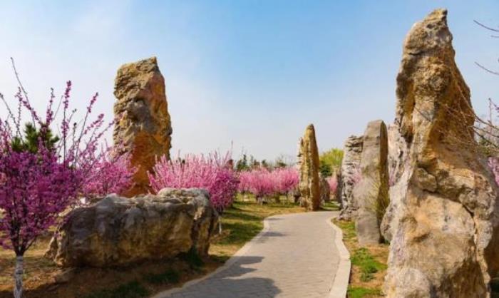 珠海石博园 珠海石博园