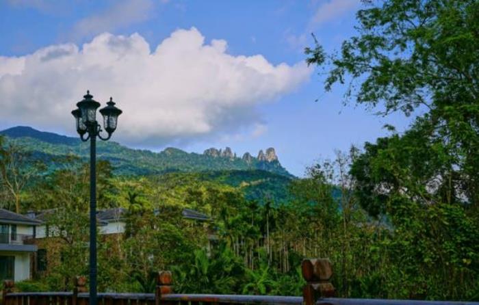 海南七仙岭温泉国家森林公园 海南七仙岭温泉国家森林公园