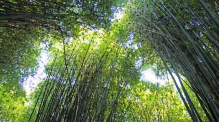 金沙江三谷水景区