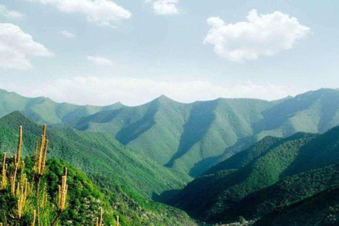 龙栖山国家级自然保护区 龙栖山国家级自然保护区