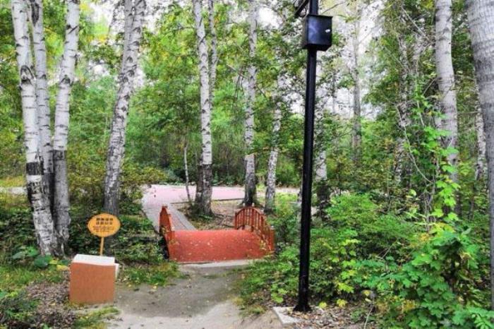 桦林公园 桦林公园