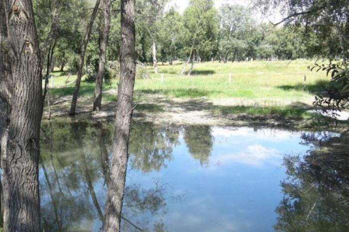 桦林公园 桦林公园