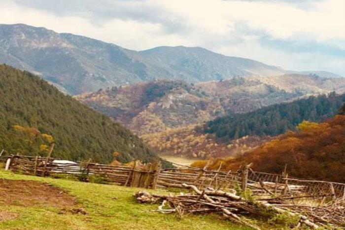 和静北山森林公园 和静北山森林公园